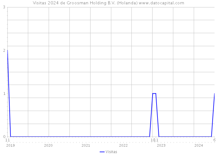 Visitas 2024 de Groosman Holding B.V. (Holanda) 