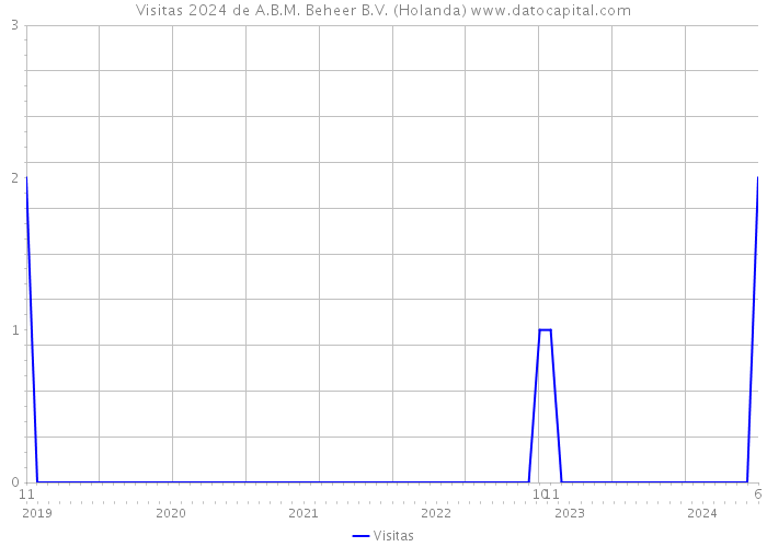 Visitas 2024 de A.B.M. Beheer B.V. (Holanda) 