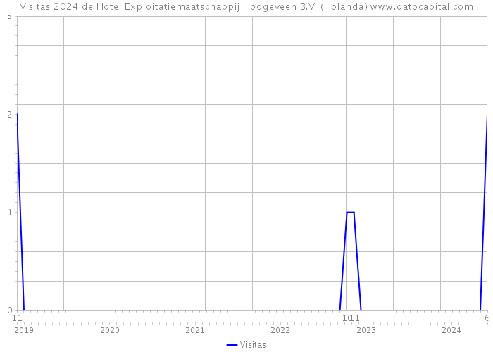 Visitas 2024 de Hotel Exploitatiemaatschappij Hoogeveen B.V. (Holanda) 