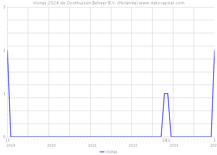 Visitas 2024 de Oosthuizen Beheer B.V. (Holanda) 