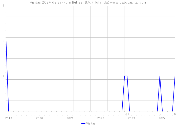 Visitas 2024 de Bakkum Beheer B.V. (Holanda) 