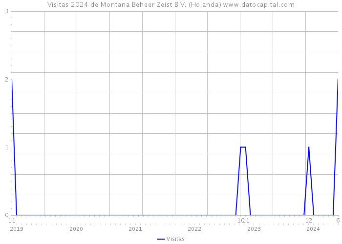 Visitas 2024 de Montana Beheer Zeist B.V. (Holanda) 