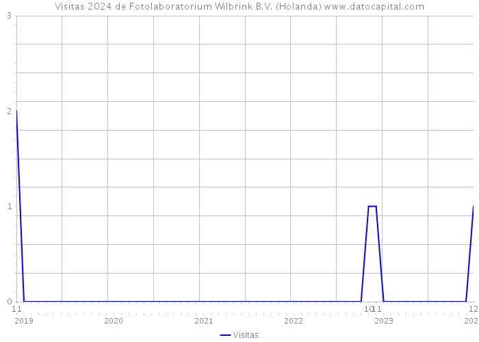 Visitas 2024 de Fotolaboratorium Wilbrink B.V. (Holanda) 