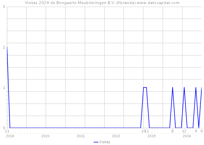 Visitas 2024 de Bongaerts Meubileringen B.V. (Holanda) 