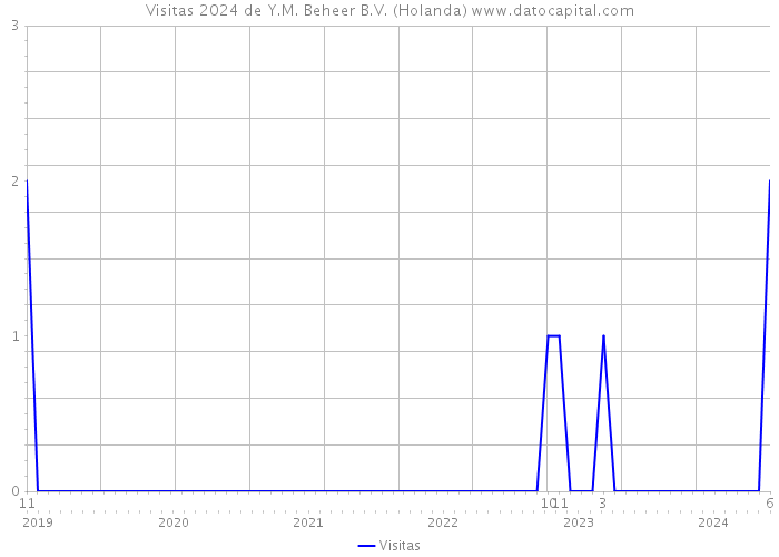 Visitas 2024 de Y.M. Beheer B.V. (Holanda) 