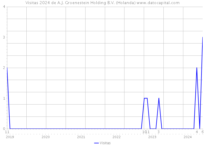 Visitas 2024 de A.J. Groenestein Holding B.V. (Holanda) 