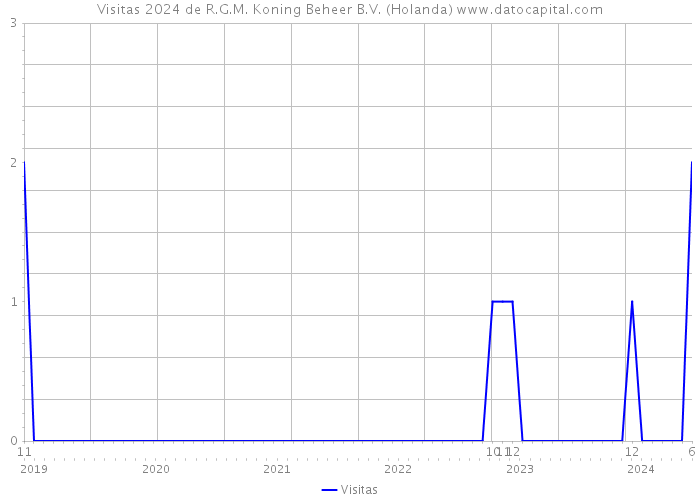 Visitas 2024 de R.G.M. Koning Beheer B.V. (Holanda) 