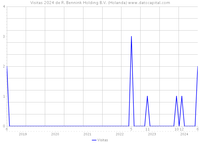 Visitas 2024 de R. Bennink Holding B.V. (Holanda) 
