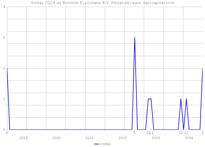 Visitas 2024 de Bennink Exploitatie B.V. (Holanda) 