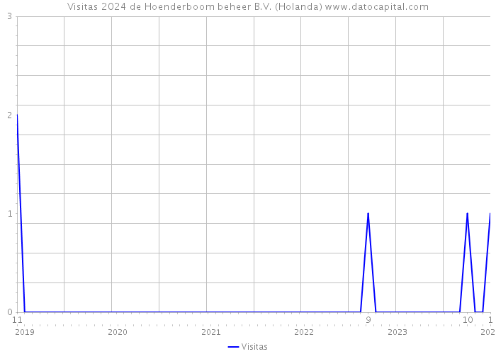 Visitas 2024 de Hoenderboom beheer B.V. (Holanda) 