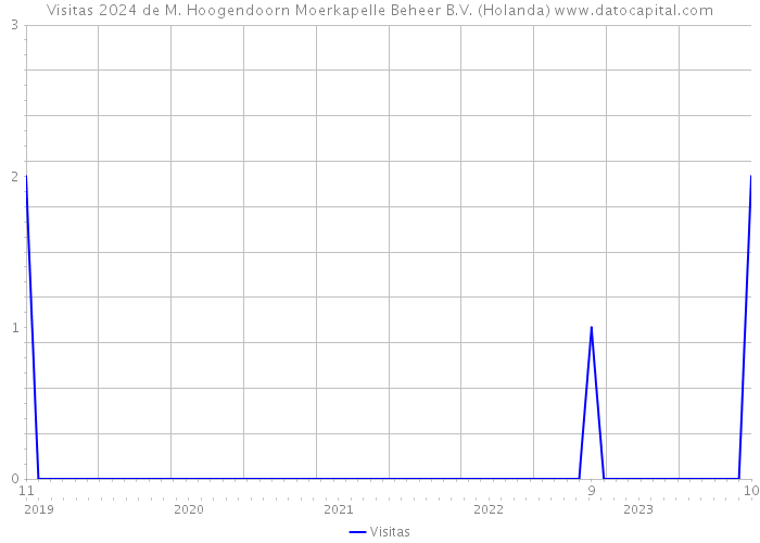 Visitas 2024 de M. Hoogendoorn Moerkapelle Beheer B.V. (Holanda) 