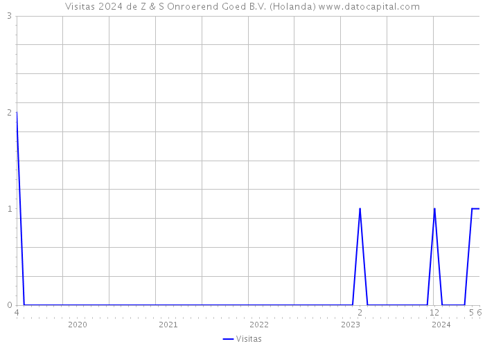 Visitas 2024 de Z & S Onroerend Goed B.V. (Holanda) 