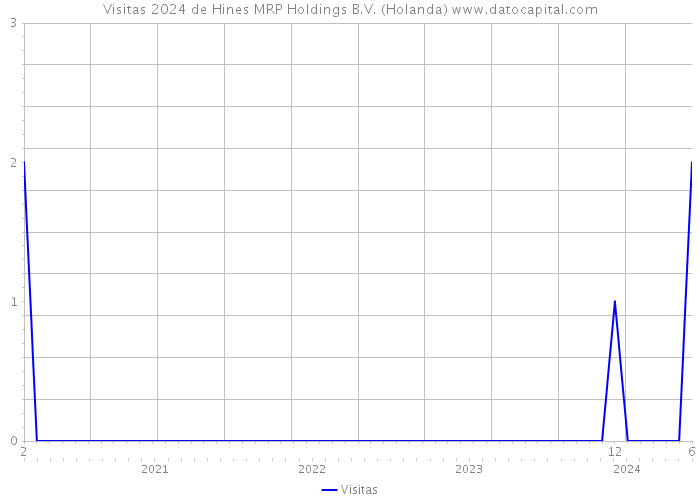Visitas 2024 de Hines MRP Holdings B.V. (Holanda) 