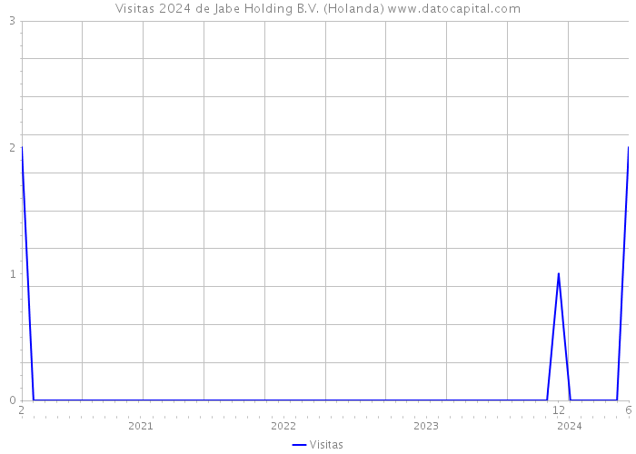 Visitas 2024 de Jabe Holding B.V. (Holanda) 