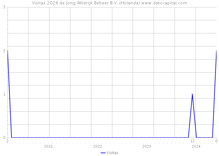 Visitas 2024 de Jong Wildrijk Beheer B.V. (Holanda) 