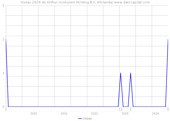 Visitas 2024 de Arthur Voskuilen Holding B.V. (Holanda) 