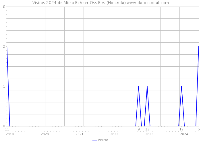 Visitas 2024 de Mitsa Beheer Oss B.V. (Holanda) 