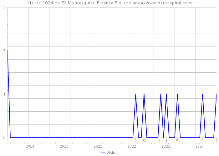 Visitas 2024 de EY Montesquieu Finance B.V. (Holanda) 