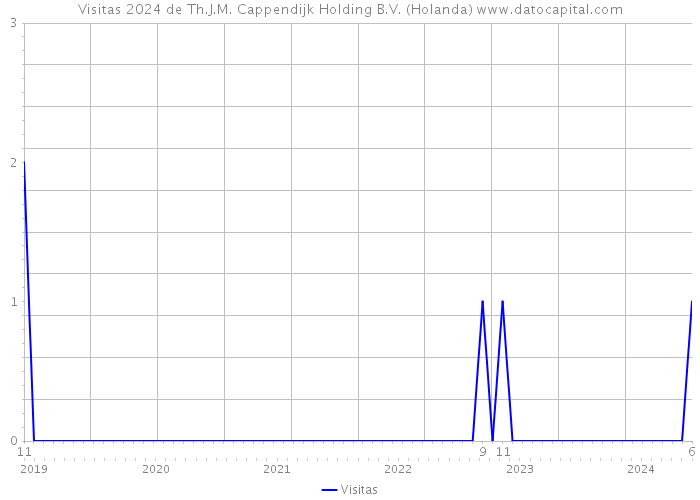 Visitas 2024 de Th.J.M. Cappendijk Holding B.V. (Holanda) 