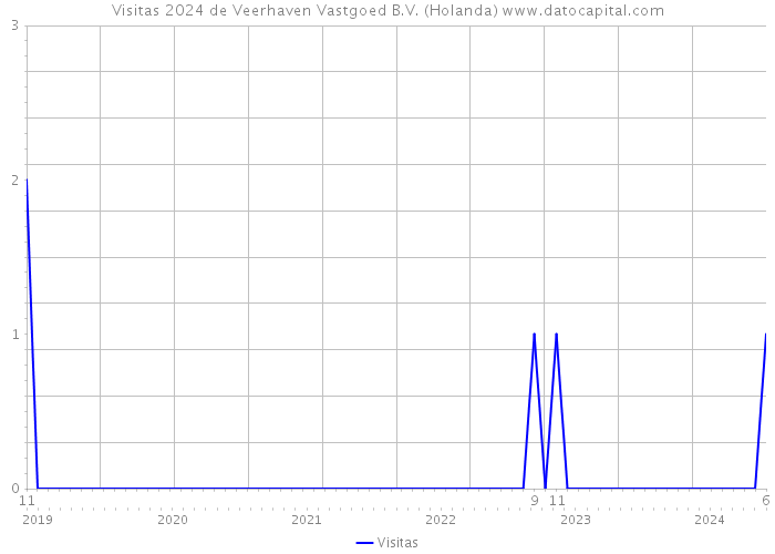 Visitas 2024 de Veerhaven Vastgoed B.V. (Holanda) 