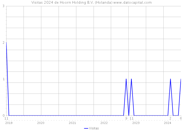 Visitas 2024 de Hoorn Holding B.V. (Holanda) 