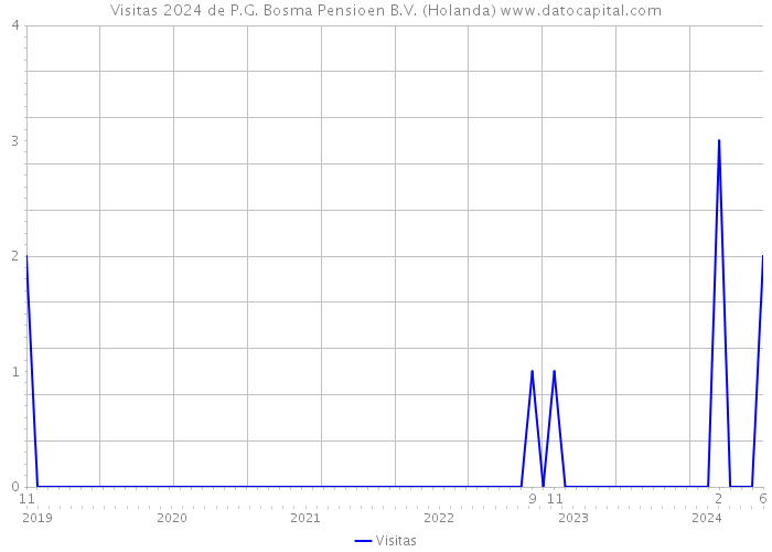 Visitas 2024 de P.G. Bosma Pensioen B.V. (Holanda) 