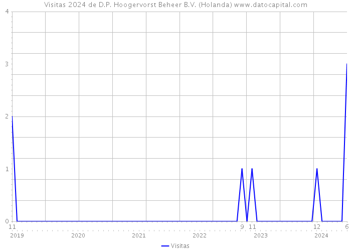 Visitas 2024 de D.P. Hoogervorst Beheer B.V. (Holanda) 