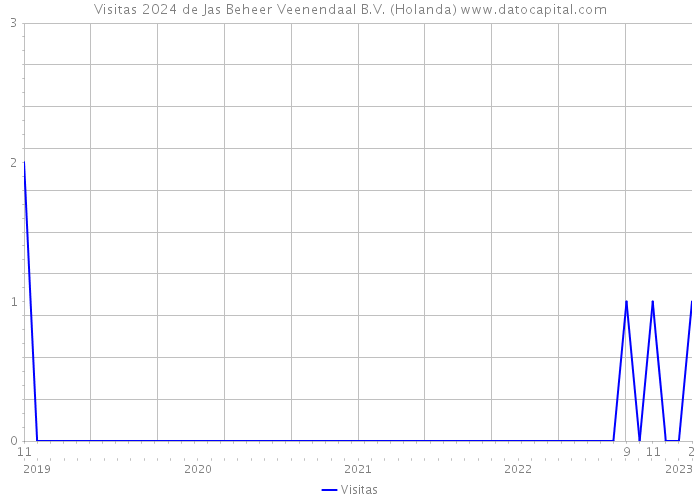 Visitas 2024 de Jas Beheer Veenendaal B.V. (Holanda) 