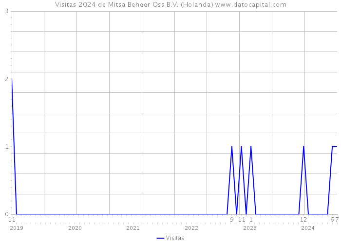 Visitas 2024 de Mitsa Beheer Oss B.V. (Holanda) 