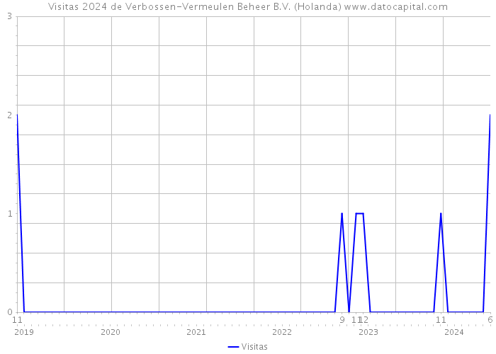 Visitas 2024 de Verbossen-Vermeulen Beheer B.V. (Holanda) 