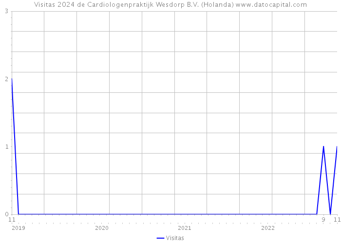 Visitas 2024 de Cardiologenpraktijk Wesdorp B.V. (Holanda) 