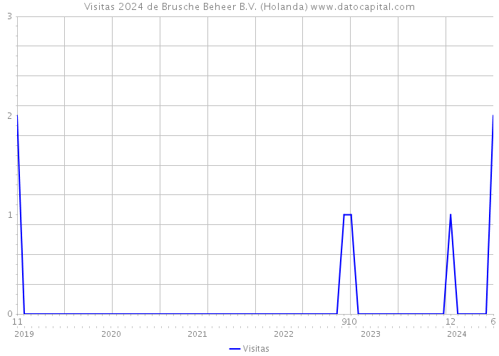 Visitas 2024 de Brusche Beheer B.V. (Holanda) 