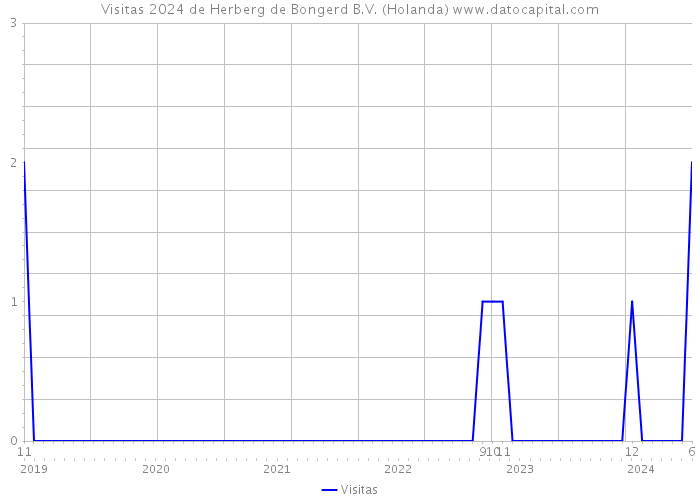 Visitas 2024 de Herberg de Bongerd B.V. (Holanda) 