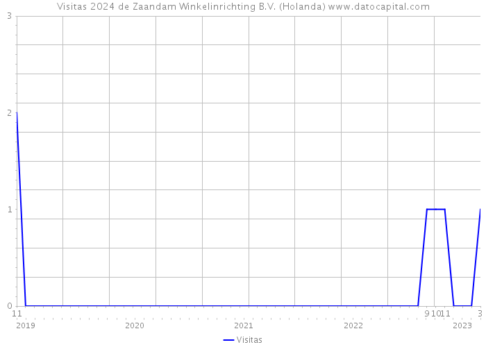 Visitas 2024 de Zaandam Winkelinrichting B.V. (Holanda) 