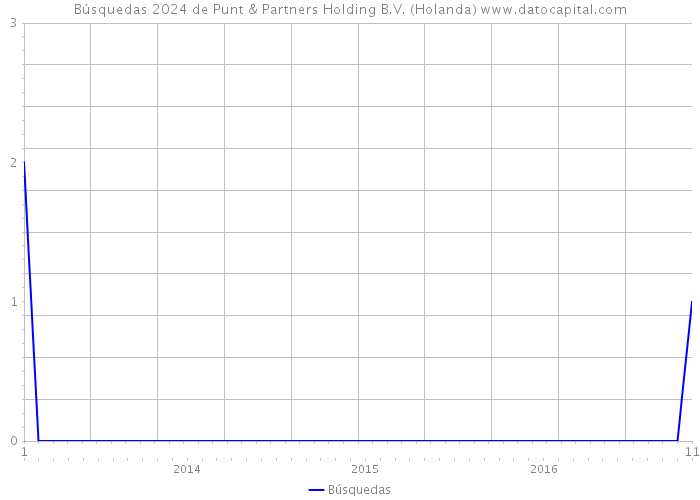 Búsquedas 2024 de Punt & Partners Holding B.V. (Holanda) 