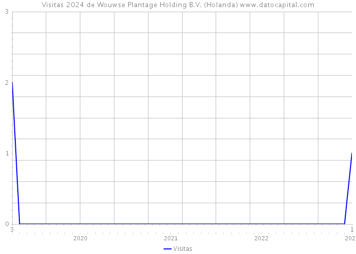 Visitas 2024 de Wouwse Plantage Holding B.V. (Holanda) 