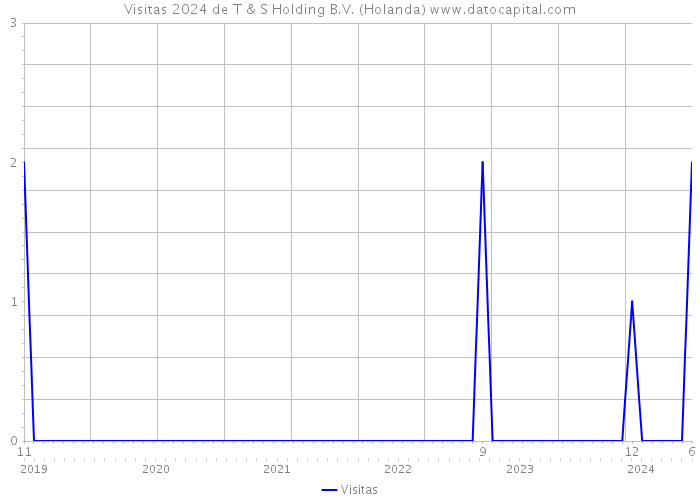 Visitas 2024 de T & S Holding B.V. (Holanda) 