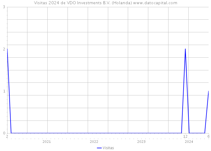 Visitas 2024 de VDO Investments B.V. (Holanda) 