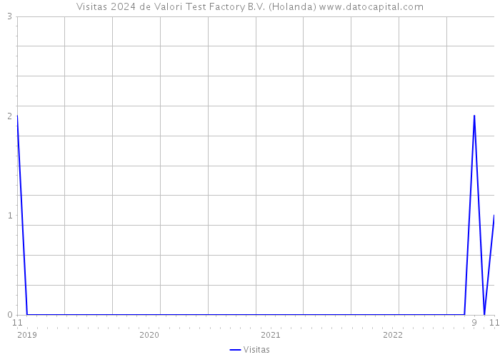 Visitas 2024 de Valori Test Factory B.V. (Holanda) 