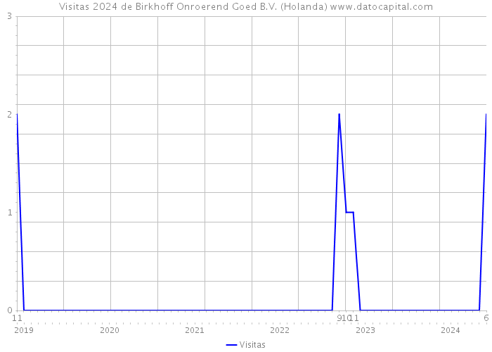 Visitas 2024 de Birkhoff Onroerend Goed B.V. (Holanda) 