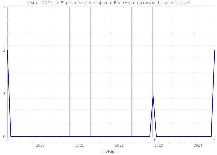 Visitas 2024 de Eigen advies & projecten B.V. (Holanda) 