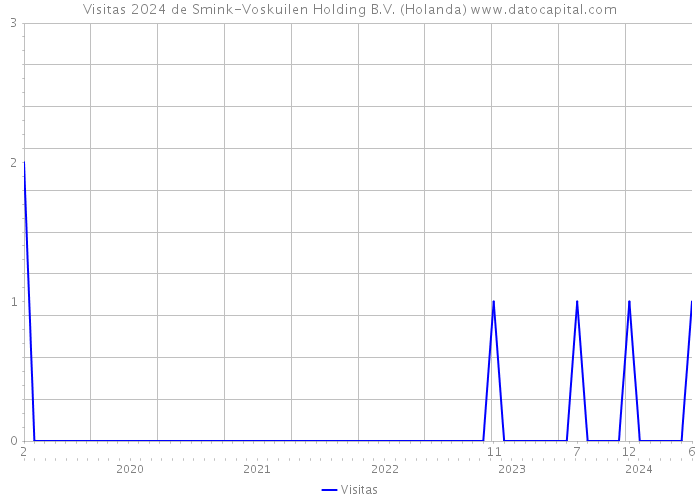 Visitas 2024 de Smink-Voskuilen Holding B.V. (Holanda) 
