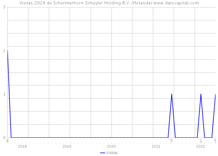 Visitas 2024 de Schermerhorn Schuyler Holding B.V. (Holanda) 
