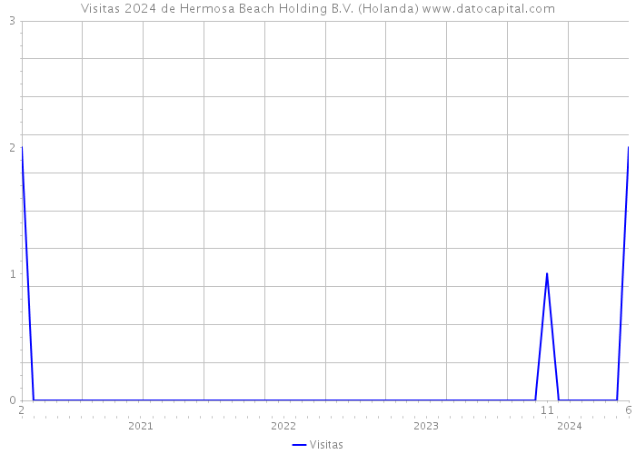 Visitas 2024 de Hermosa Beach Holding B.V. (Holanda) 