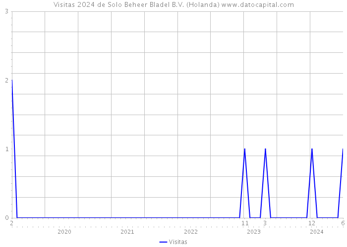 Visitas 2024 de Solo Beheer Bladel B.V. (Holanda) 