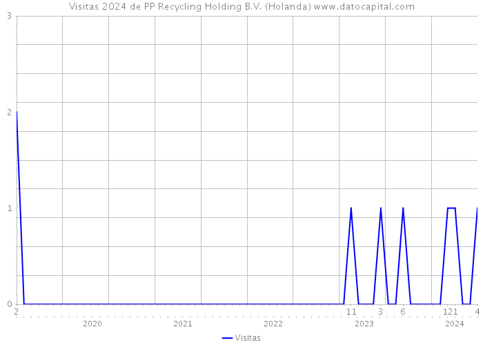 Visitas 2024 de PP Recycling Holding B.V. (Holanda) 
