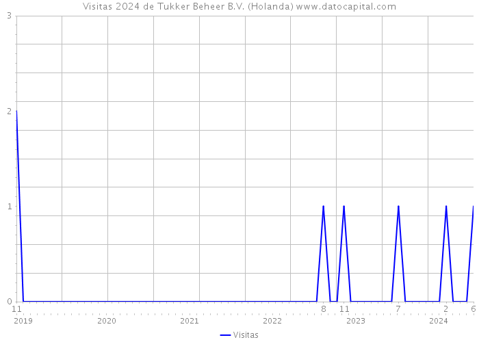 Visitas 2024 de Tukker Beheer B.V. (Holanda) 