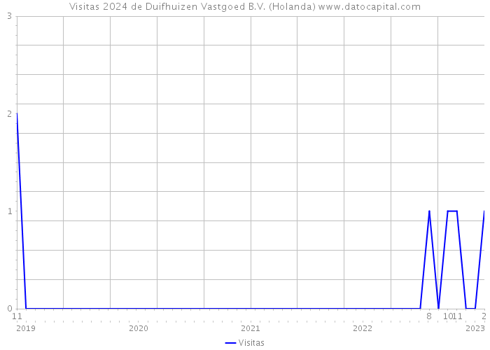 Visitas 2024 de Duifhuizen Vastgoed B.V. (Holanda) 