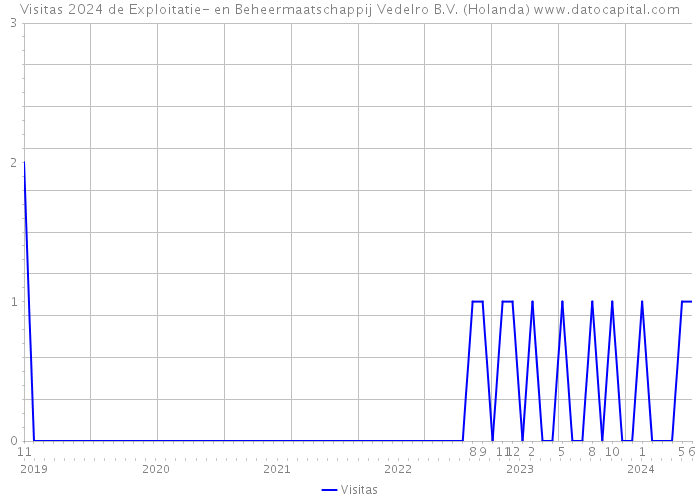 Visitas 2024 de Exploitatie- en Beheermaatschappij Vedelro B.V. (Holanda) 