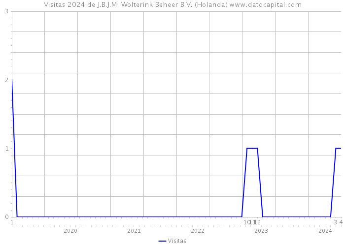 Visitas 2024 de J.B.J.M. Wolterink Beheer B.V. (Holanda) 